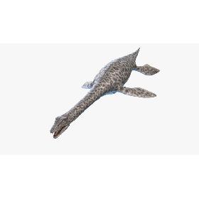 3D Plesiosaurus model